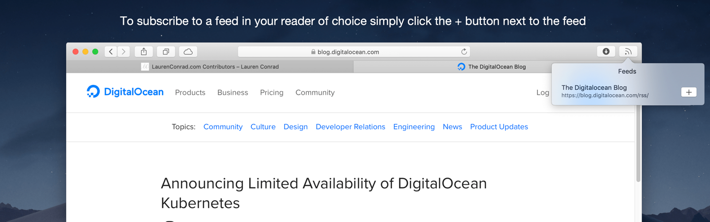 To subscribe to a feed in your reader of choice simply click the + button next to the feed